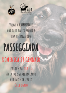 Primo evento del 2024 a Vicenza: passeggiata con cani a Caldogno